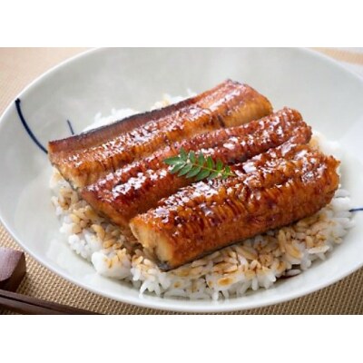 豊後の姫はも 蒲焼き※120g×4パック_1049Z