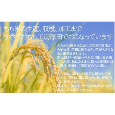 こだわりの米で作った!つきたて丸餅(玄米餅 5P)_1849R-2