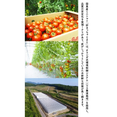 国東産ミニトマト1.2kg※嬉しい小分けタイプ_1053R