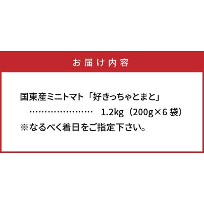 国東産ミニトマト1.2kg※嬉しい小分けタイプ_1053R