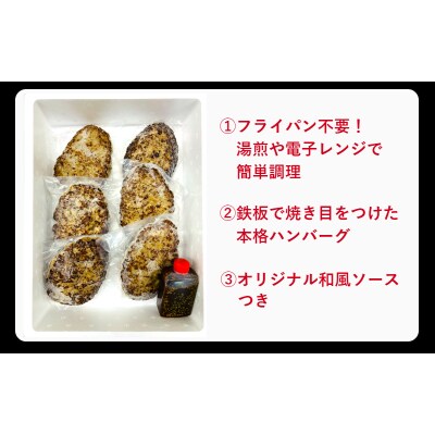 おおいた和牛と大分県産の豚を使った大分プレミアムハンバーグ6個入り(計960g)_1820R