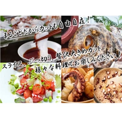 船上活き締め!生たこ丸ごと約1kg(約1~4杯)_1810R