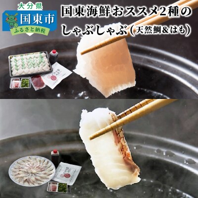 国東海鮮おススメ2種のしゃぶしゃぶ「天然鯛&はも」_29011B