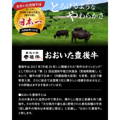 おおいた豊後牛の贅沢ローストビーフ120g×2個_1082R
