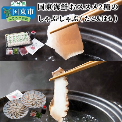 国東海鮮おススメ2種のしゃぶしゃぶ「たこ&はも」_29012B