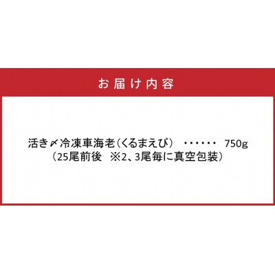 鮮度抜群!活き〆冷凍車海老(750g)_29017B