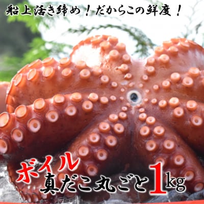 船上活き締め!ゆでたこ丸ごと約1kg(約1～4杯)_1812R