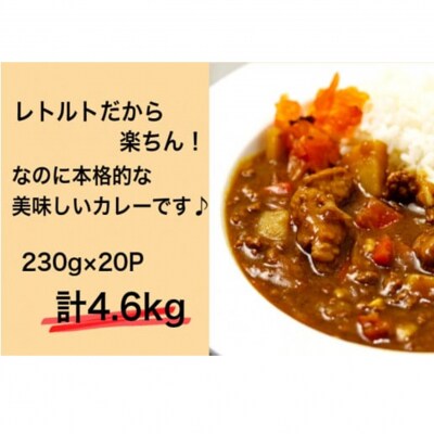 肉屋のまかない豊後牛カレー4.6kg(230g×20P)_1794R