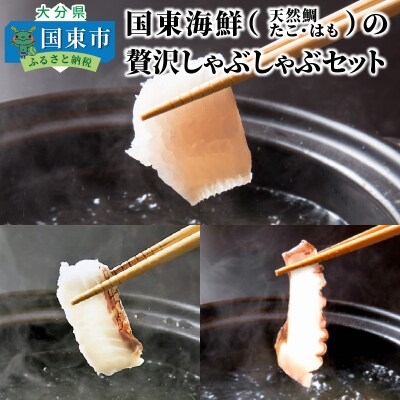 国東海鮮「天然鯛・たこ・はも」の贅沢しゃぶしゃぶセット_29001C