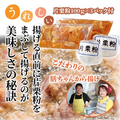 膳ちゃん唐揚げ1.65kg+鶏皮揚げ0.2kg_1100R
