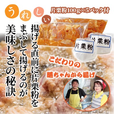 膳ちゃん唐揚げ2.5kg+鶏皮揚げ0.2kg_1101R