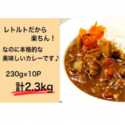 肉屋のまかない豊後牛カレー2.3kg(230g×10P)_1793R