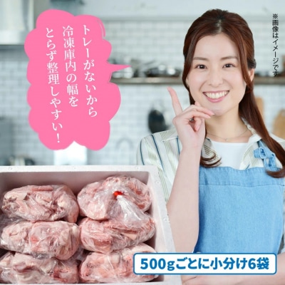 大容量でお届け! 大分県産豚切り落とし 3kg 豚肉 豚こま_1789R