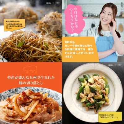 大容量でお届け! 大分県産豚切り落とし 3kg 豚肉 豚こま_1789R