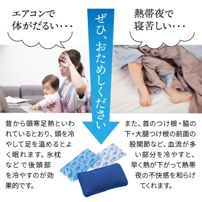 クロッツひんやり枕クールメッシュ/1個_1148R
