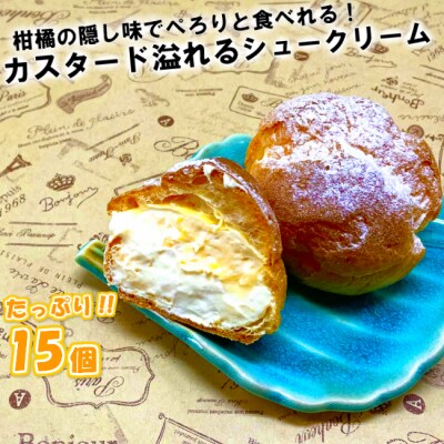 50年変わらない味!地元で人気のシュークリーム15個_1756R