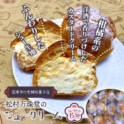 50年変わらない味!地元で人気のシュークリーム15個_1756R