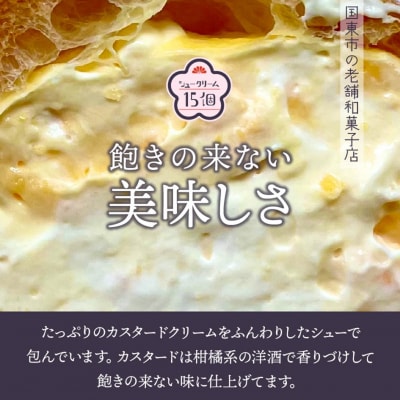 50年変わらない味!地元で人気のシュークリーム15個_1756R
