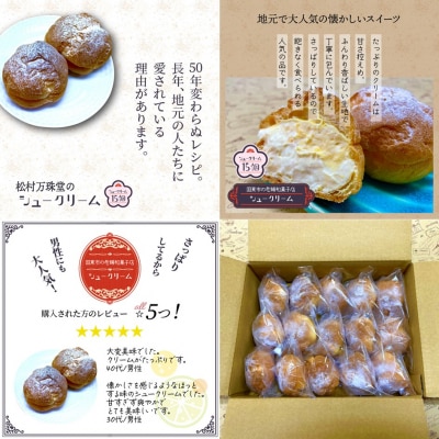 50年変わらない味!地元で人気のシュークリーム15個_1756R