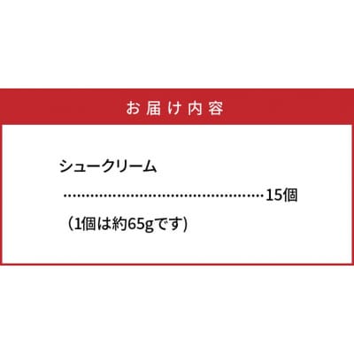 50年変わらない味!地元で人気のシュークリーム15個_1756R