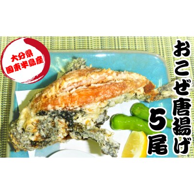おこぜ唐揚げ 5尾 1736r お礼品詳細 ふるさと納税なら さとふる