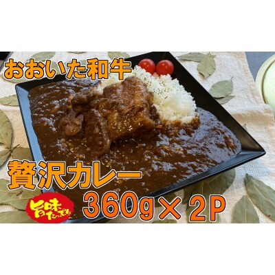 おおいた和牛の贅沢カレー 2パック_1725R
