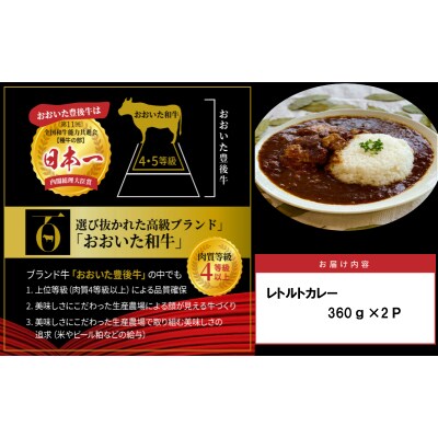 おおいた和牛の贅沢カレー 2パック_1725R