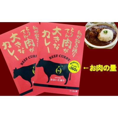 おおいた和牛の贅沢カレー 2パック_1725R