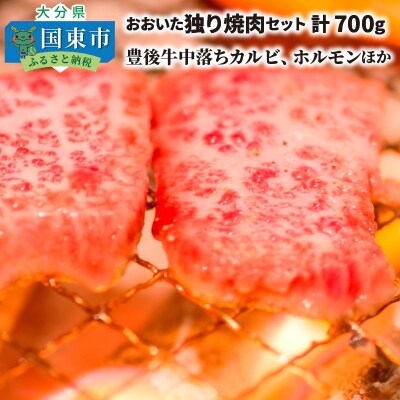 おおいた独り焼肉セット計700g/豊後牛中落ちカルビ,ホルモンほか_1158R