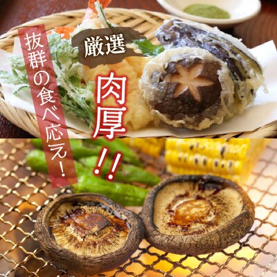 肉厚干し椎茸と本当においしい椎茸佃煮の詰合せ_1165R