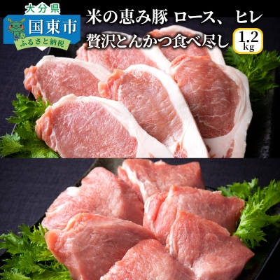 米の恵み豚/ロース,ヒレ贅沢とんかつ食べ尽し1.2kg_1177R