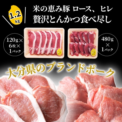 米の恵み豚/ロース,ヒレ贅沢とんかつ食べ尽し1.2kg_1177R