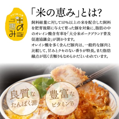 米の恵み豚/ロース,ヒレ贅沢とんかつ食べ尽し1.2kg_1177R