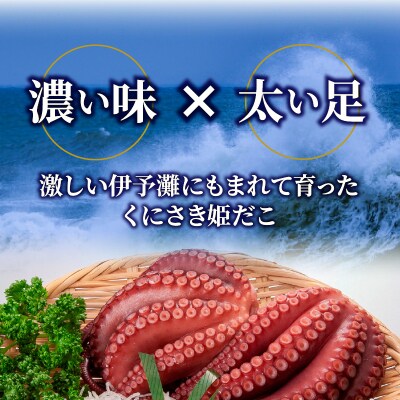 旨味凝縮!姫だこキムチ300g×4パック_1647R