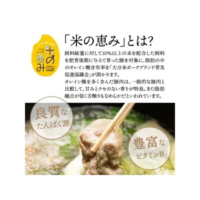 米の恵み豚/4種しゃぶしゃぶ食べ比べ1.4kg_1175R