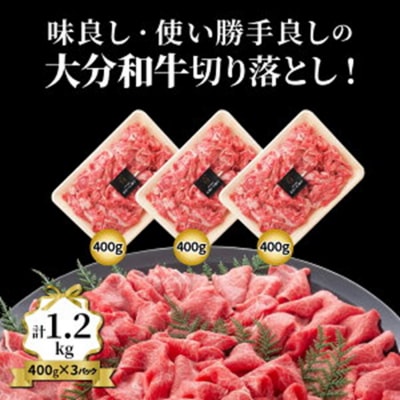 おおいた和牛/贅沢切り落し1.2kg_1179R