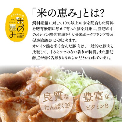 米の恵み豚/焼肉,しゃぶしゃぶ,生姜焼き堪能1.5kg_1176R