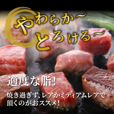 【A4~A5等級】おおいた和牛 / もも サイコロステーキ 500g カット_1180R