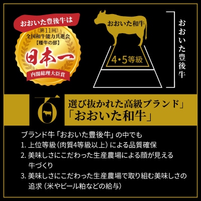 【A4~A5等級】おおいた和牛 / もも サイコロステーキ 500g カット_1180R