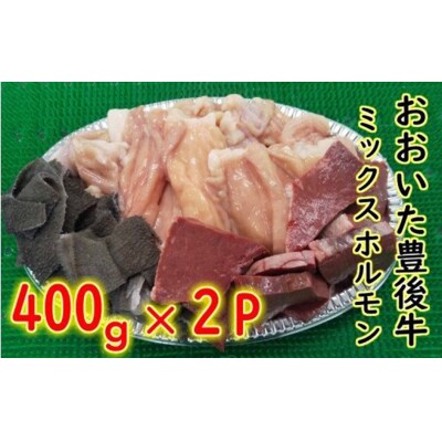 おおいた豊後牛ミックスホルモン800g_1617R