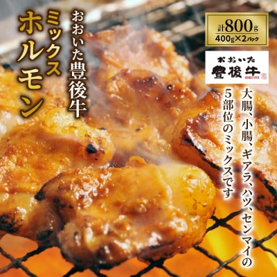 おおいた豊後牛ミックスホルモン800g_1617R