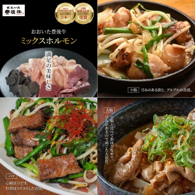 おおいた豊後牛ミックスホルモン800g_1617R