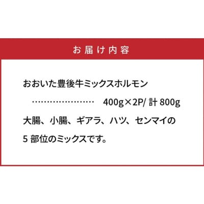 おおいた豊後牛ミックスホルモン800g_1617R