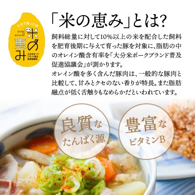 おおいた和牛&米の恵み豚W切り落しセット1.6kg_1214R