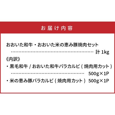 おおいた和牛と米の恵み豚のスタミナ焼肉対決/計1kg_1216R