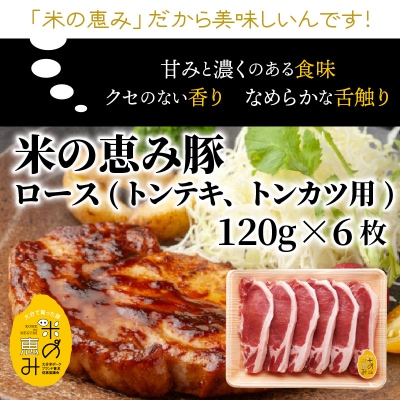 おおいた和牛と米の恵み豚のステーキ対決/計1.12kg_1217R