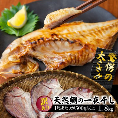 驚愕の大きさ!訳あり天然鯛の一夜干し1.8kg_1554R