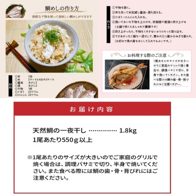 驚愕の大きさ!訳あり天然鯛の一夜干し1.8kg_1554R