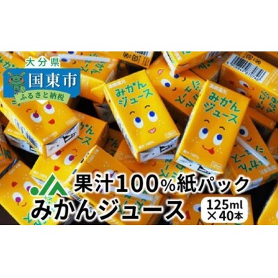 果汁100%紙パックみかんジュース125ml×40本_1521R