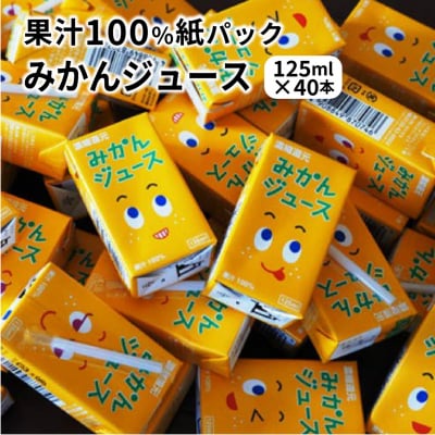 果汁100%紙パックみかんジュース125ml×40本_1521R